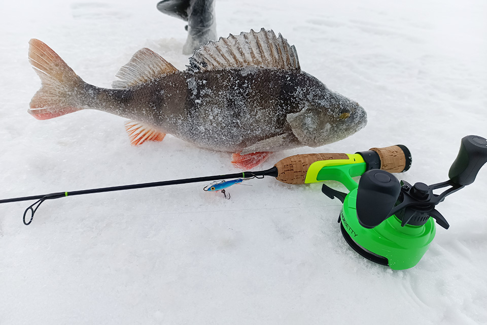 Моя зимняя рыбалка на озере Ильмень (Синецкий залив)